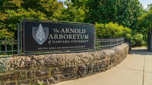 Arnold Arboretum of Harvard University