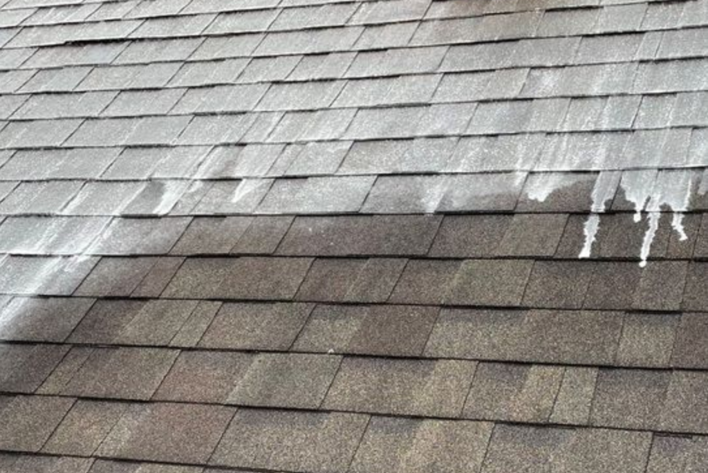 roof cleaning